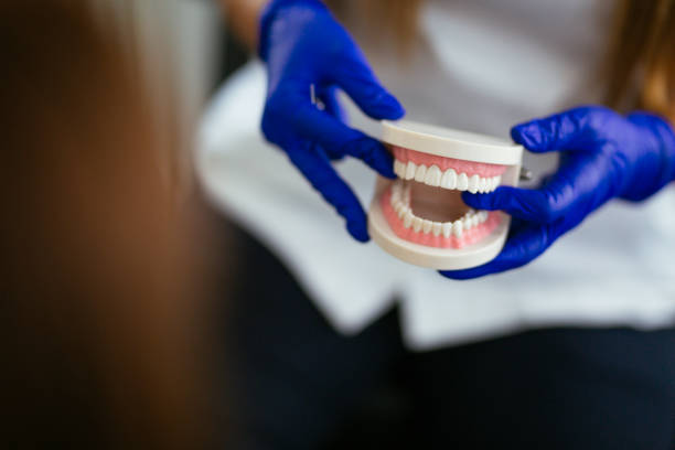 Reliable Weston, OH Holistic Dental Care Services Solutions